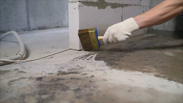 24/7 Emergency Crawl Space Encapsulation experts in Cedar Grove, NJ